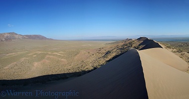 Singing Sand Dunes panorama