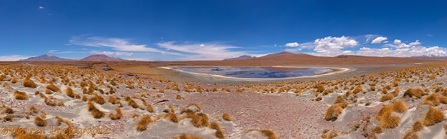 High Altiplano salt lake with tussock grass or Paja Brava
