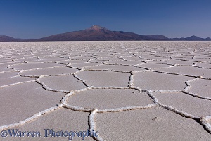 Polygon formations on surface of Salar de Uyuni Salt Pan