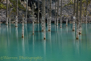 Submerged Forest, Lake Kaindy, Kazakhstan