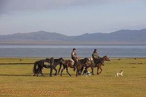 Horse riders and dogs by Song Kul Lake, Kyrgyzstan