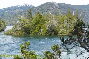 Small island in river, Los Alerces National Park, Argentina
